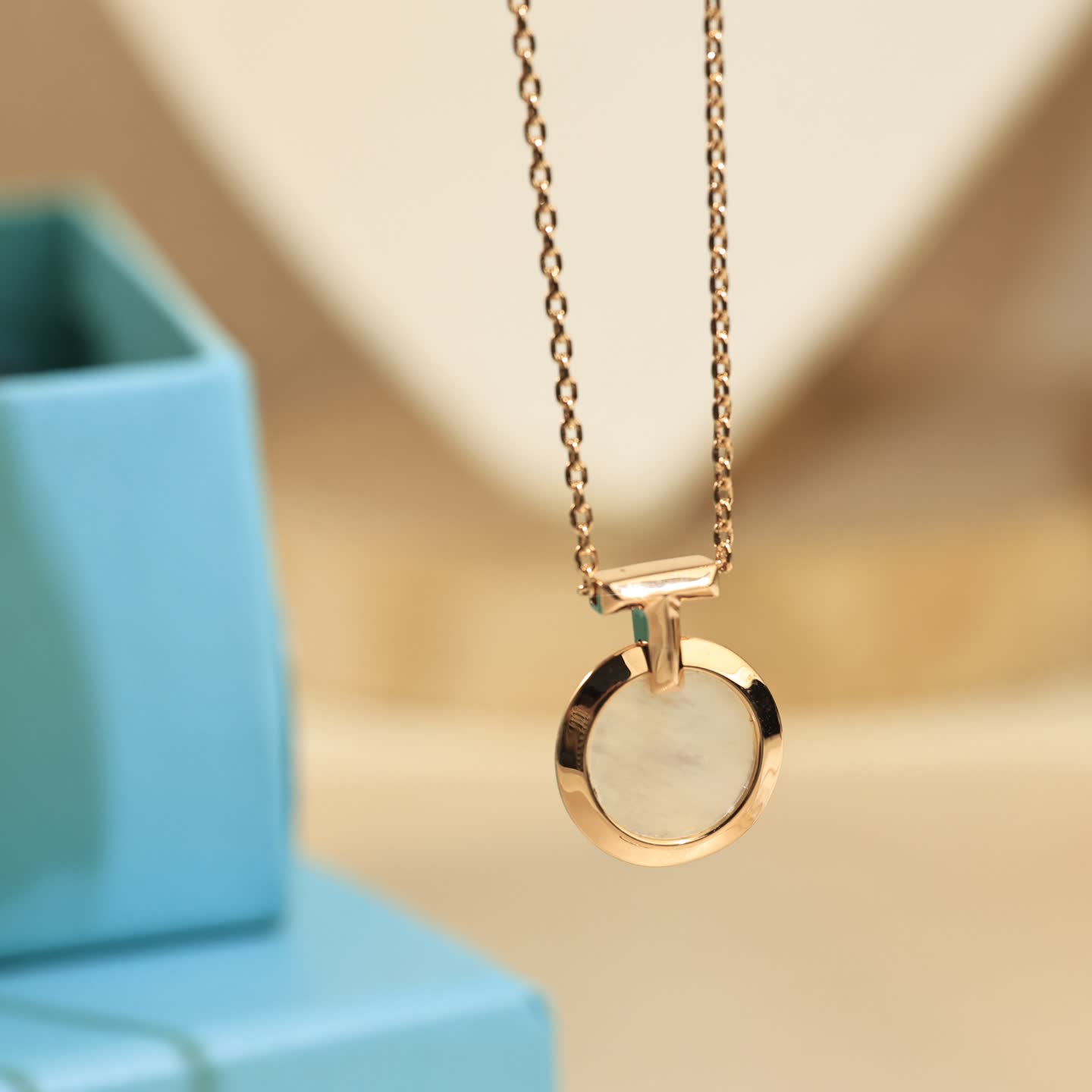 Tiffany & Co Elegant Circle Pendant Necklace